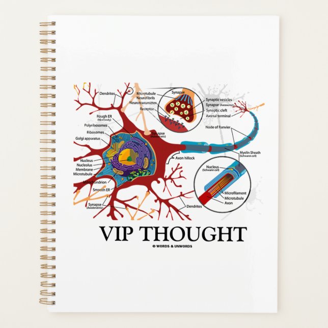 VIP Thought Neuron Synapse Neurotransmitter Humour Planner (Front)
