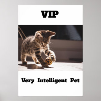 VIP  Very Intelligent Pet Adorable cat  Poster   