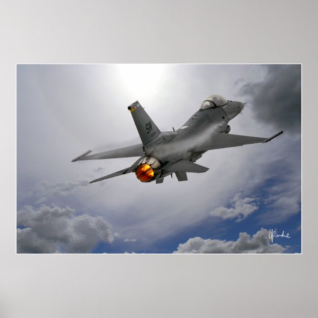 Viper in the Sun Poster (Front)