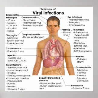 Viral Infections and the Species Involved Chart