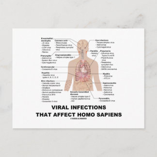 Viral Infections That Affect Homo Sapiens Postcard