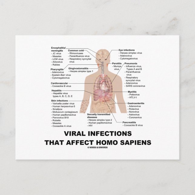 Viral Infections That Affect Homo Sapiens Postcard (Front)