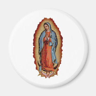 VIRGEN DE GUADALUPE COLECTION MAGNET