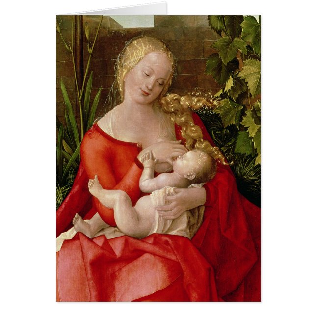 Virgin and Child 'Madonna with the Iris', 1508 (Front)