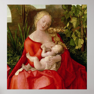 Virgin and Child 'Madonna with the Iris', 1508 Poster
