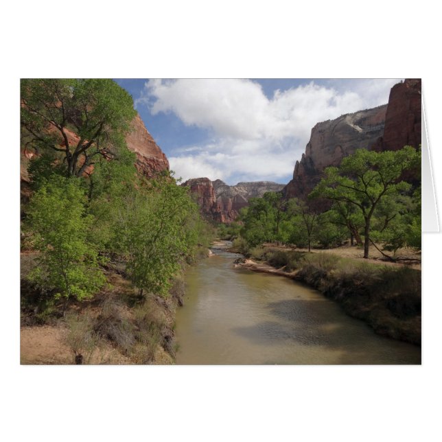 Virgin River in Spring at Zion National Park (Front Horizontal)