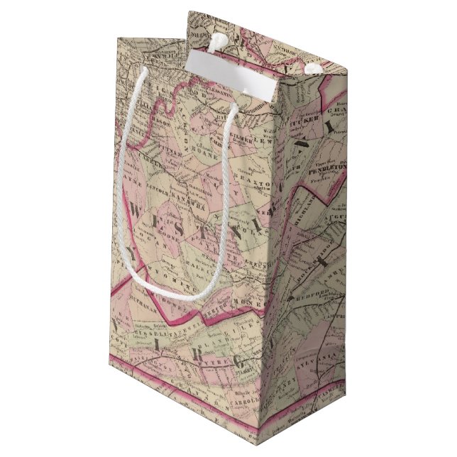 Virginia and West Virginia Small Gift Bag (Back Angled)