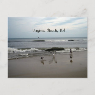 Virginia Beach, VA Postcard