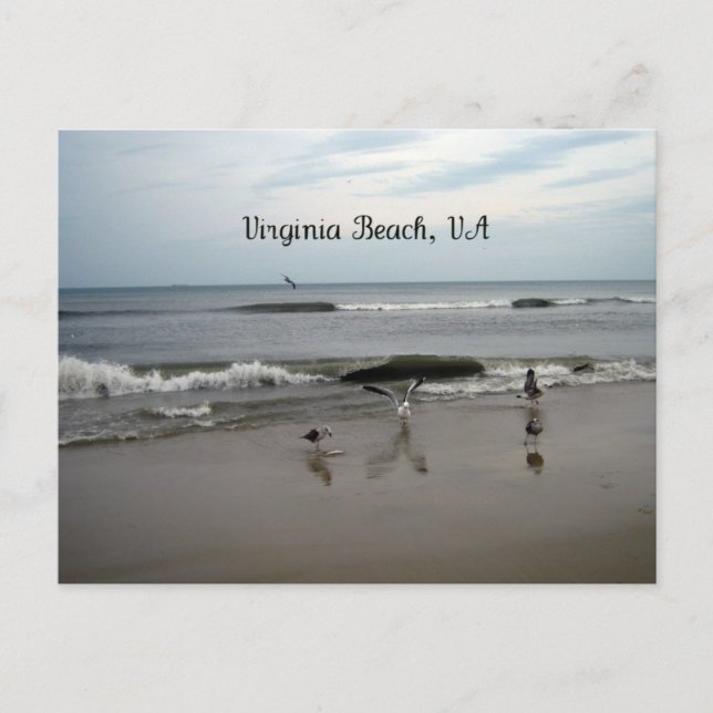 Virginia Beach, VA Postcard (Front)