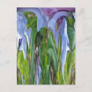 Virginia Bluebells Coordinating Items Postcard