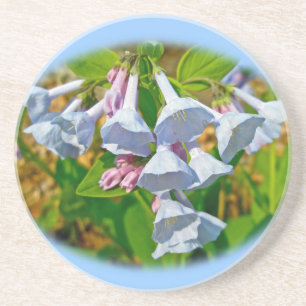 Virginia Bluebells Wildflower Coaster