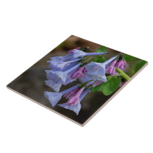 Virginia Bluebells Wildflower Tile