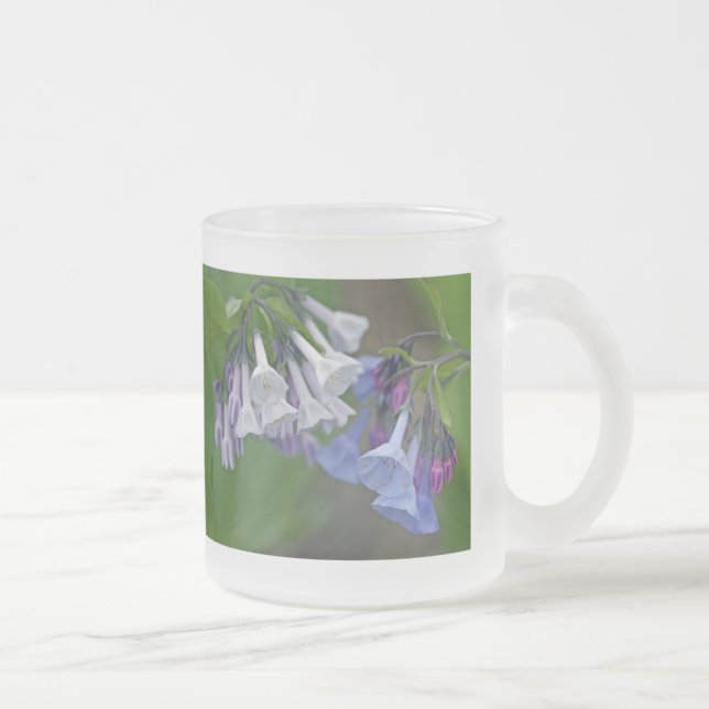 Virginia Bluebells Wildflowers Frosted Glass Coffee Mug (Right)