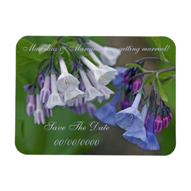 Virginia Bluebells Wildflowers - Save The Date Magnet (Horizontal)