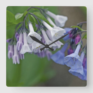 Virginia Bluebells Wildflowers Square Wall Clock