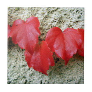 Virginia Creeper Leaves Ceramic Tile
