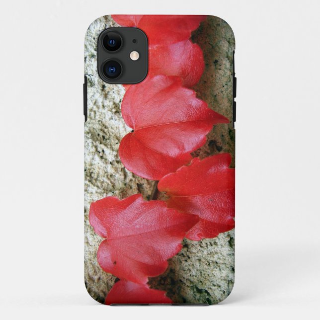 Virginia Creeper Leaves iPhone SE+5/5S Case (Back)