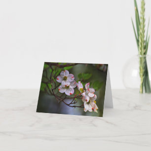 Virginia Dogwood Card