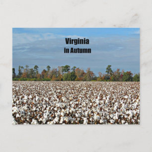 Virginia in Autumn Postcard