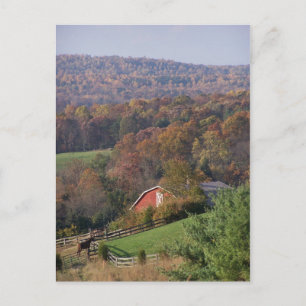 Virginia in the Fall Postcard