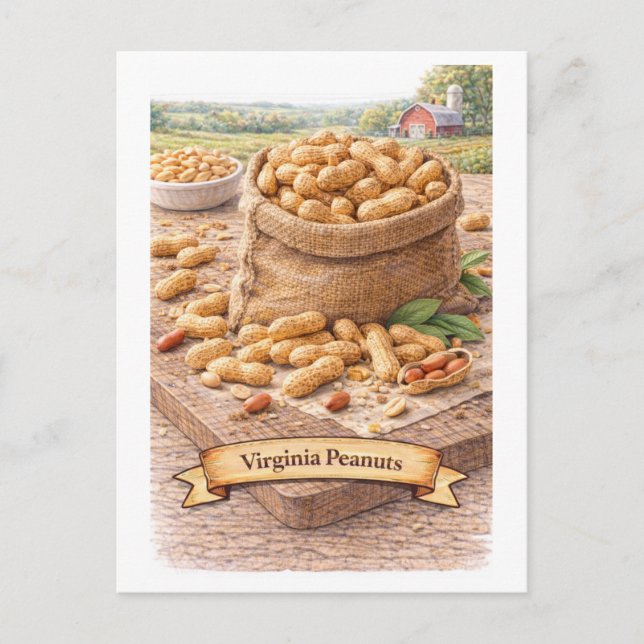 Virginia Peanuts (American Food Series) Postcard (Front)