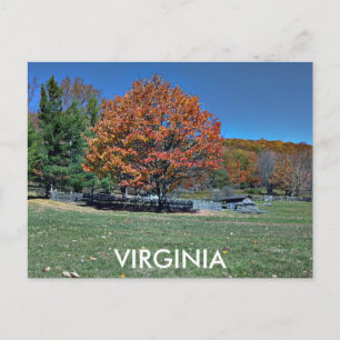 VIRGINIA POSTCARD