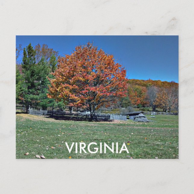 VIRGINIA POSTCARD (Front)