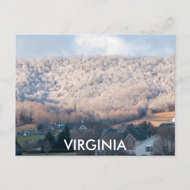 VIRGINIA POSTCARD (Front)