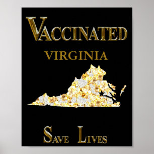 VIRGINIA POSTER