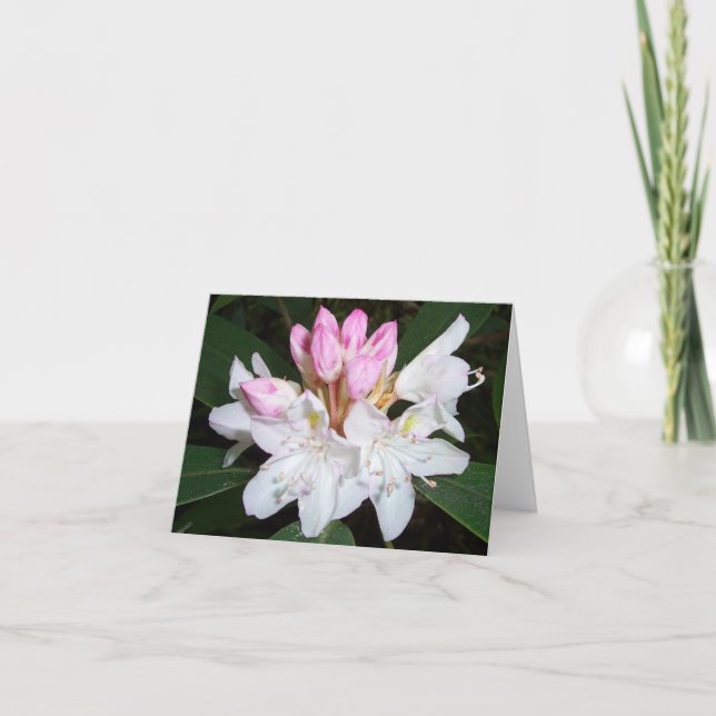 Virginia Rhododendron Card (Front)