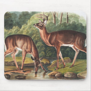 Virginian Deer (Cervus Virginianus) Illustration Mouse Mat