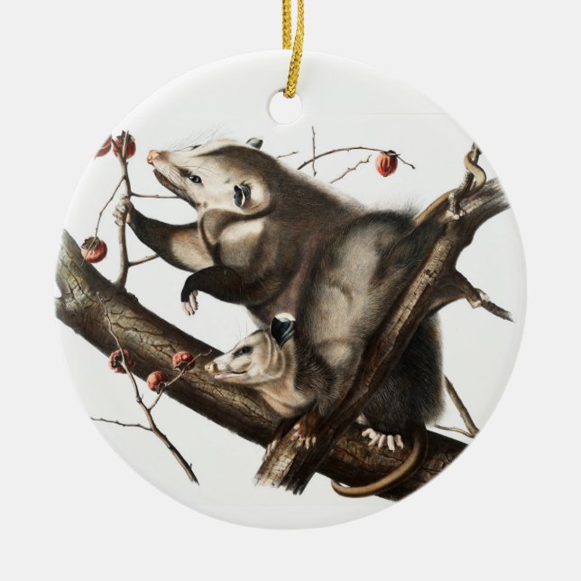 Virginian Opossum Didelphis Virginia Illustration Ceramic Tree Decoration (Front)