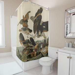 Virginian Partridge, Audubon's Birds of America Sh Shower Curtain
