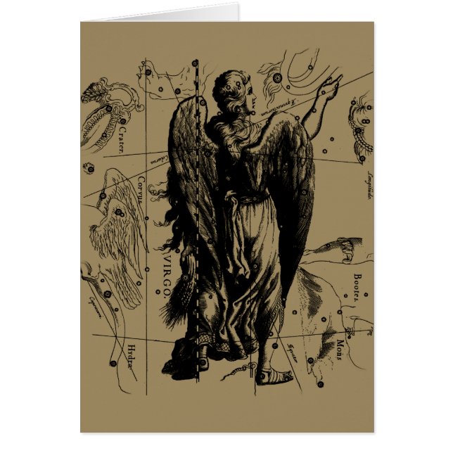 Virgo Constellation Hevelius Etching Style (Front)