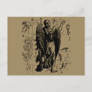 Virgo Constellation Hevelius Etching Style Postcard