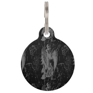 Virgo Constellation Zodiac Map Hevelius 1690 Pet Tag