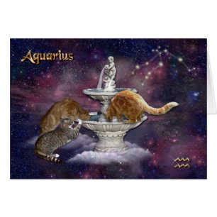 Virgo for Cat Lovers