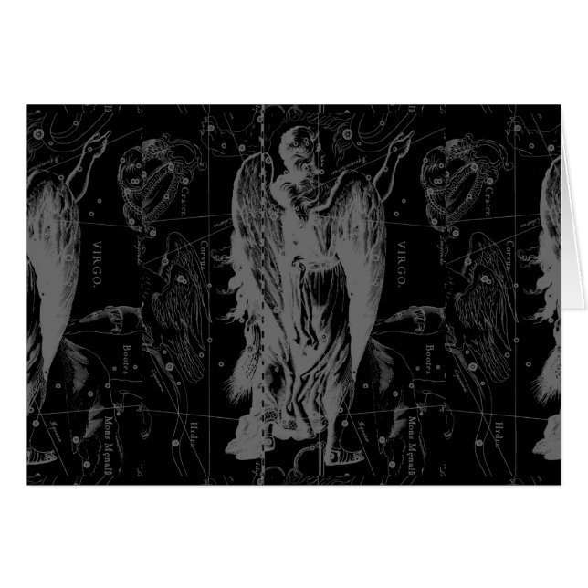 Virgo Zodiac Constellation Hevelius 1690 (Front Horizontal)