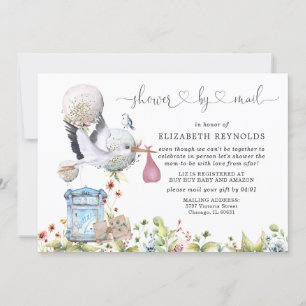 Virtual Baby Shower by Mail Invitation