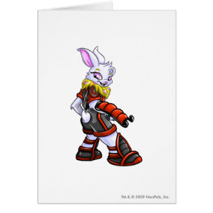 Virtupets Space Station Team Captain 2