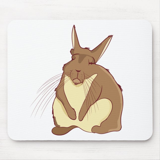 Viscacha Vizcacha Cute Mountain Rodent Lazy Sleepy Mouse Mat (Front)