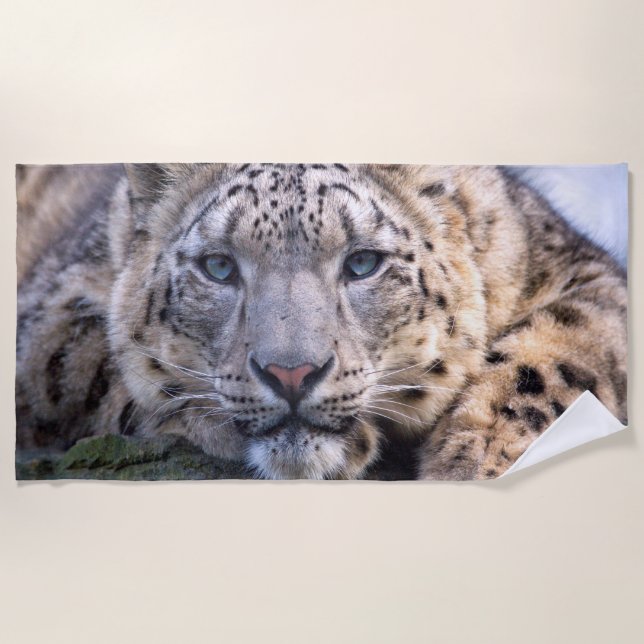 Vishnu Snow Leopard Beach Towel (Front)