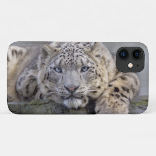 Vishnu Snow Leopard iPhone 11 Case