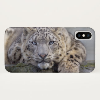 Vishnu Snow Leopard iPhone X Case