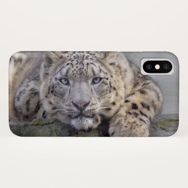 Vishnu Snow Leopard iPhone X Case (Back (Horizontal))
