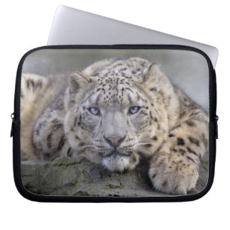 Vishnu Snow Leopard Laptop Sleeve