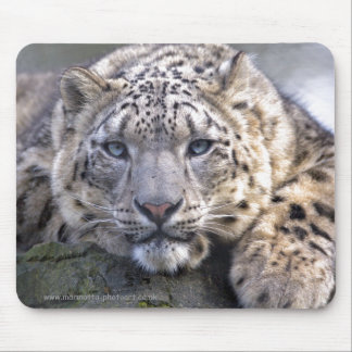 Vishnu Snow Leopard Mousemat