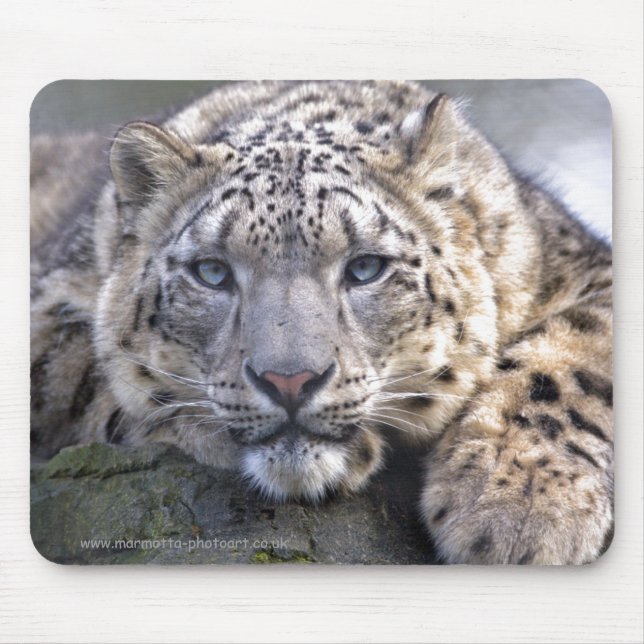 Vishnu Snow Leopard Mousemat (Front)