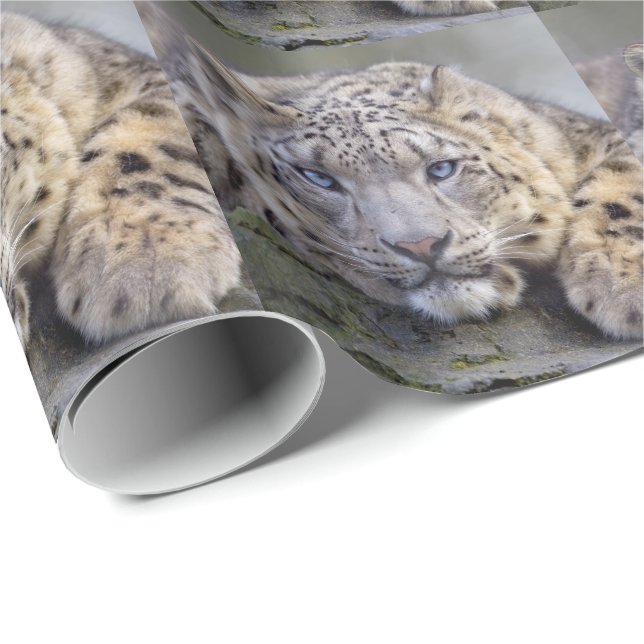 Vishnu Snow Leopard Wrapping Paper (Roll Corner)