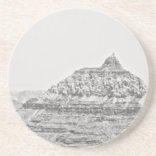 Vishnu Temple Coaster